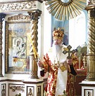 Митрополит Марк возглавил богослужение в Троицком храме села Быстрица
